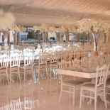 Junto Davet & Wedding